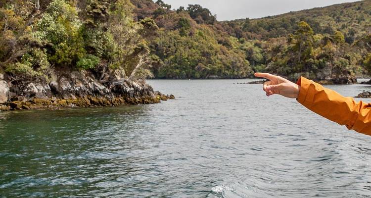 Persoon in een oranje jas wijzend over een kalm bebost meer of inham vanaf het dek van een boot.