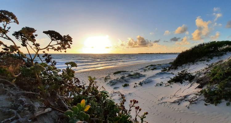 CIRCUIT DE 6 JOURS SUR LA ROUTE DES JARDINS - Bokbus Garden Route Adventure Tours & Safaris 2