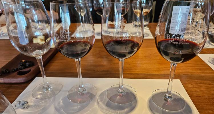 Gros plan de verres de vin remplis de vin rouge sur une table en bois.