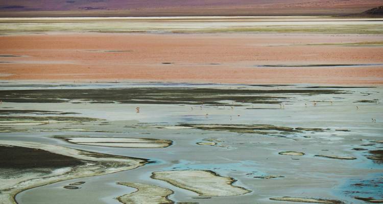 A colorful, patterned body of water.