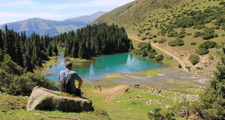 Personne surplombant un lac turquoise et une forêt.