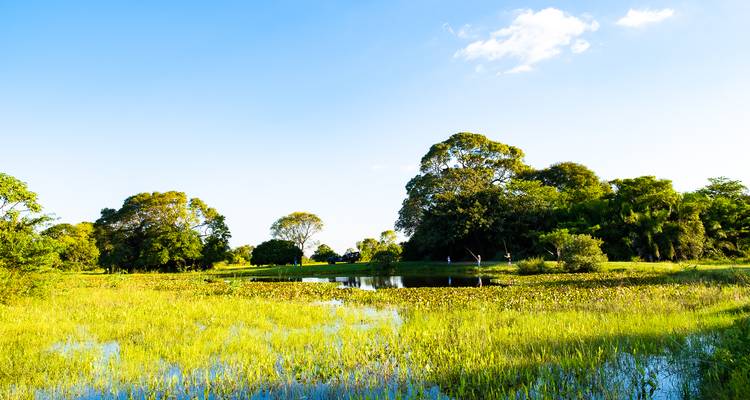 8-Day Luxury Amazon, Cerrado and Northern Pantanal - ETours Brazil DMC 4