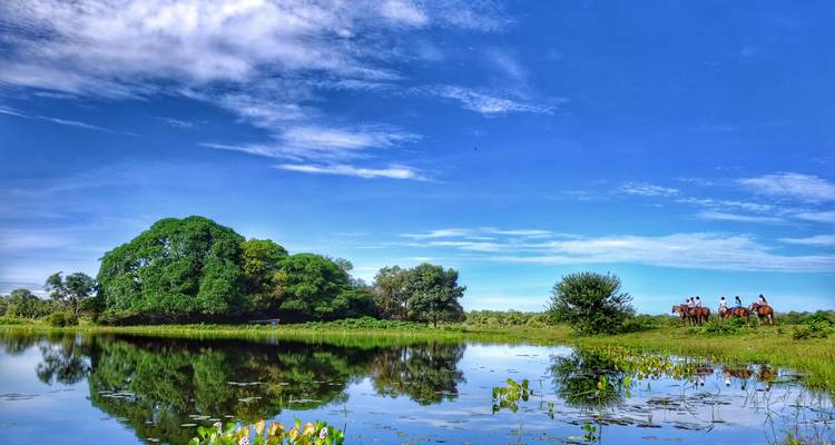 8-Day Luxury Amazon, Cerrado and Northern Pantanal - ETours Brazil DMC 6