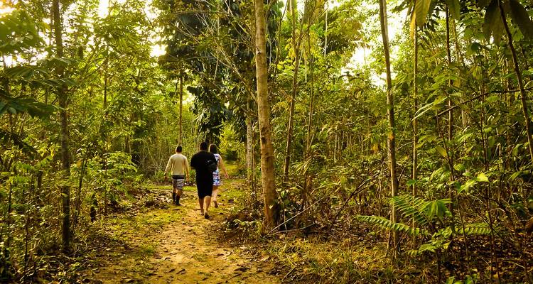 8-Day Luxury Amazon, Cerrado and Northern Pantanal - ETours Brazil DMC 5