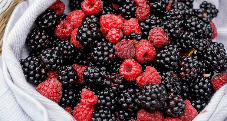 Close-up of freshly picked raspberries and blackberries in a basket.