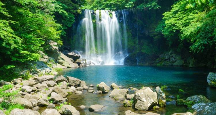 9 Days Korea Family Escape: Seoul Culture & Jeju Nature (private guide and driver）Family Tour - Customizable - UME Travel Co. Ltd 8