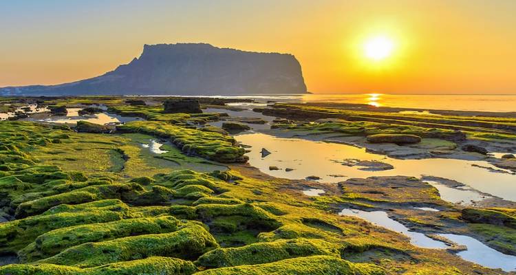 9 Days Korea Family Escape: Seoul Culture & Jeju Nature (private guide and driver）Family Tour - Customizable - UME Travel Co. Ltd 10