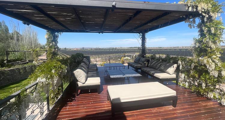 Terrasse élégante et ombragée avec sièges rembourrés offrant une vue sur les vignobles étendus sous un ciel dégagé.