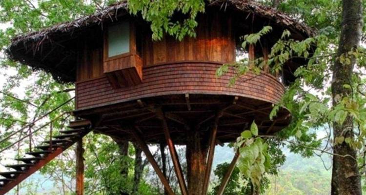 Kerala: 6-Day Tour with Tree House Stay & Houseboat Ride -  Taj Voyages Tours  1