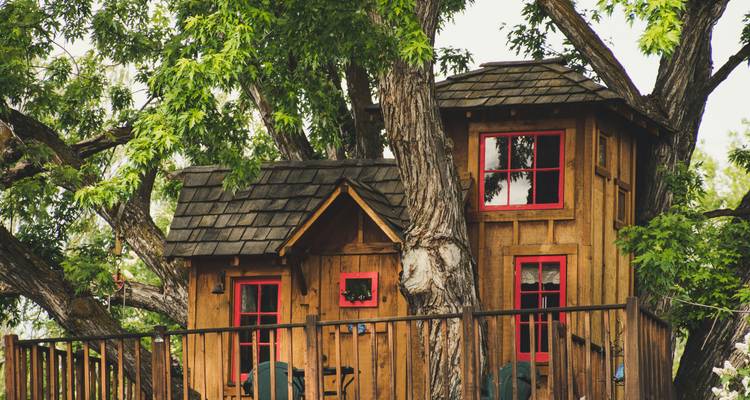 Kerala: 6-Day Tour with Tree House Stay & Houseboat Ride -  Taj Voyages Tours  3