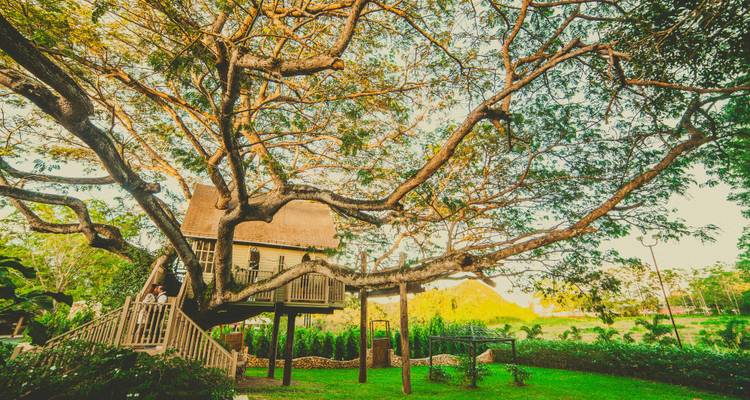 Kerala: 6-Day Tour with Tree House Stay & Houseboat Ride -  Taj Voyages Tours  6