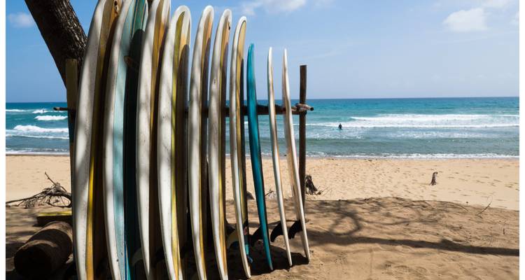 Des planches de surf alignées sur une plage de sable avec l'océan en vue.