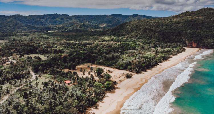 Vue aérienne d'une plage tropicale rencontrant une forêt dense.