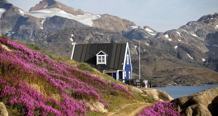 Une maison bleue entourée de fleurs violettes et de montagnes.