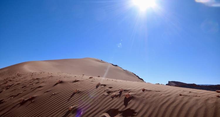 Vineyards, Desert & Salt, Chile & Bolivia 11 days tour - GUIDEcuador Travel 9