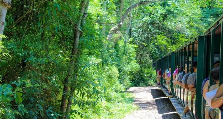 3-Day Iguazu Falls Tour – Argentine & Brazilian Sides with Transfers - Tangol Tours 10