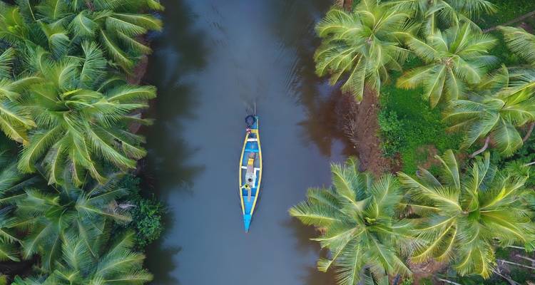 Vue aérienne d'un canoë naviguant dans un cours d'eau étroit entouré de palmiers.