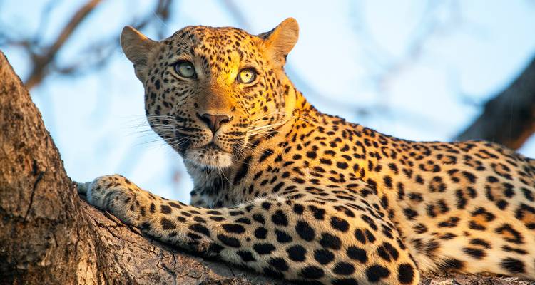 Safari privé au cœur du Kenya et de la Tanzanie avec vols - T.S TOURS 3