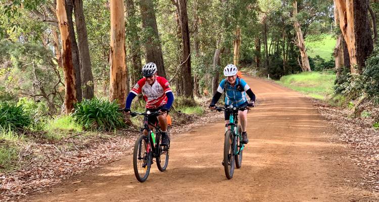 Cycle the Munda Biddi Trail: Walpole to Manjimup - Intrepid Travel 2