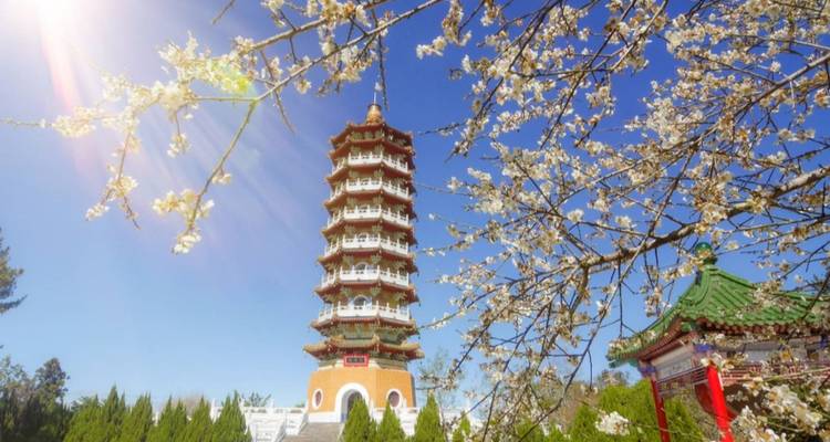 7 jours - Points forts de Taïwan (guide et chauffeur privés）Voyage en famille - Personnalisable) - UME Travel Co. Ltd 1