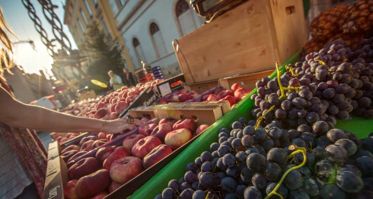 Local Living France: Toulouse - G Adventures 5