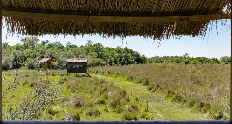 Vista desde una estructura de techo de paja que da a un campo cubierto de hierba con cabañas.