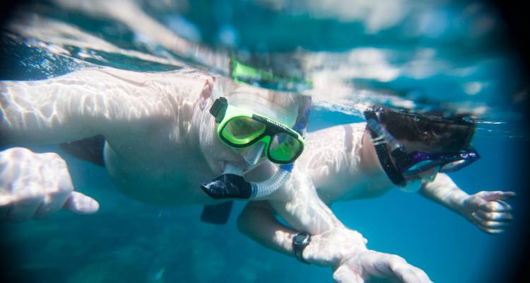 Two people snorkeling underwater, wearing masks and snorkels.