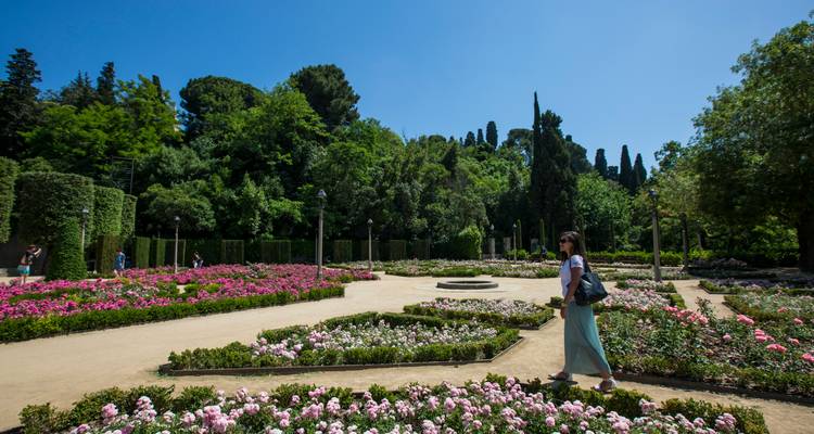 Une femme se promène à travers des parterres de fleurs vibrants dans un jardin botanique ensoleillé bordé de grands conifères.