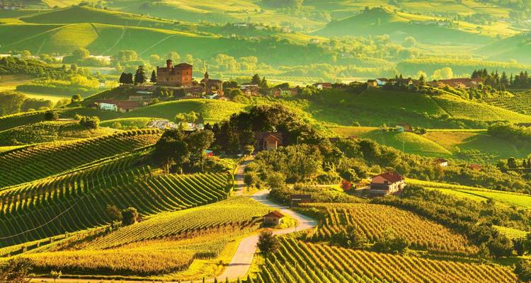 Timeless Tuscany: A Tuscan Villa Experience - Omega Tours 2