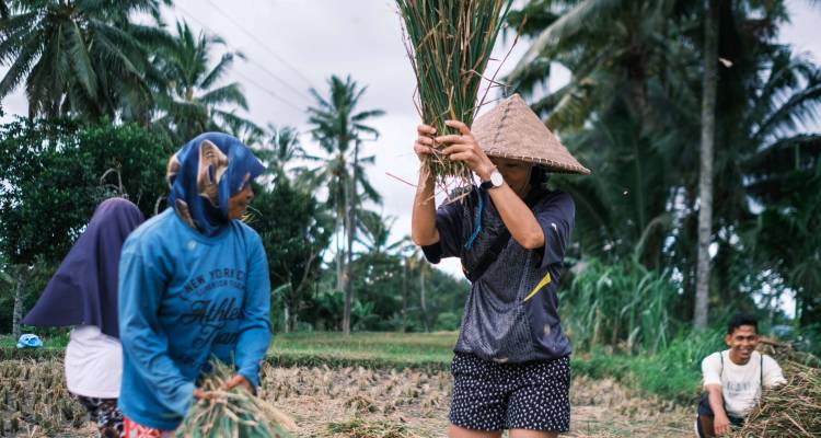 Lombok et Gili Adventure : Culture, sommets et paradis - G Adventures 1