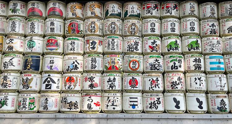 4 Days Japan Mini Group Tour to See Tokyo and Mt. Fuji, Max 6 People - TravelChinaGuide 7