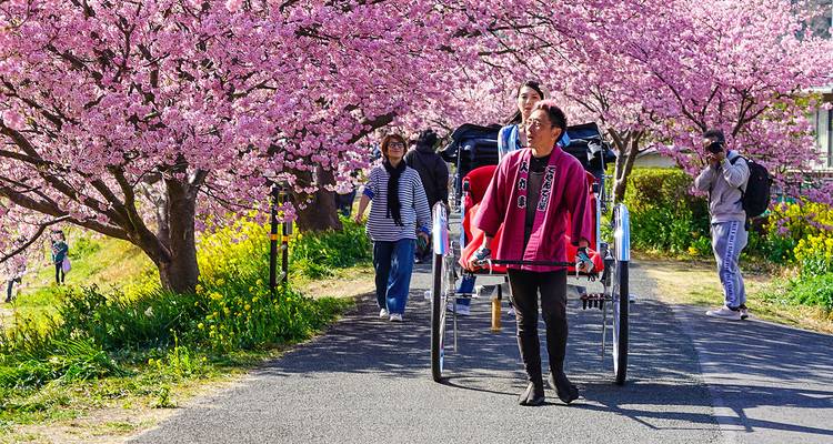 4 Days Japan Mini Group Tour to See Tokyo and Mt. Fuji, Max 6 People - TravelChinaGuide 3