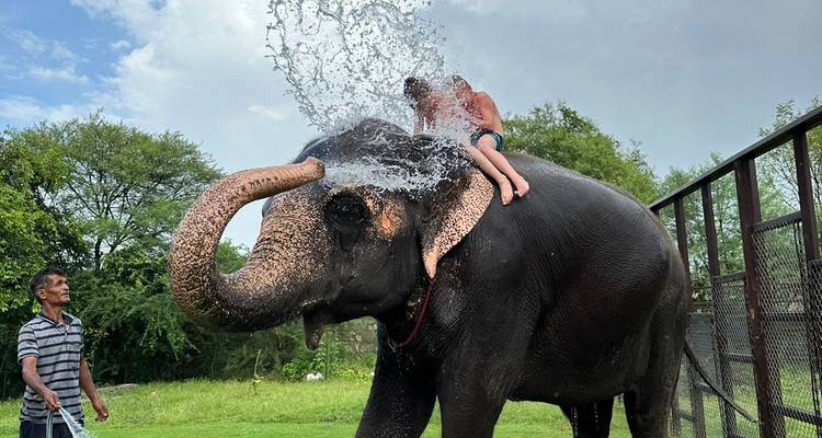Tour du Rajasthan en tourbillon - Seven Wonder Tour and Travels 4
