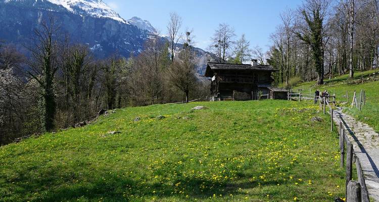 5 jours de visite libre à Interlaken : Pics, lacs et sensations en parapente - STM Tours LLC 6