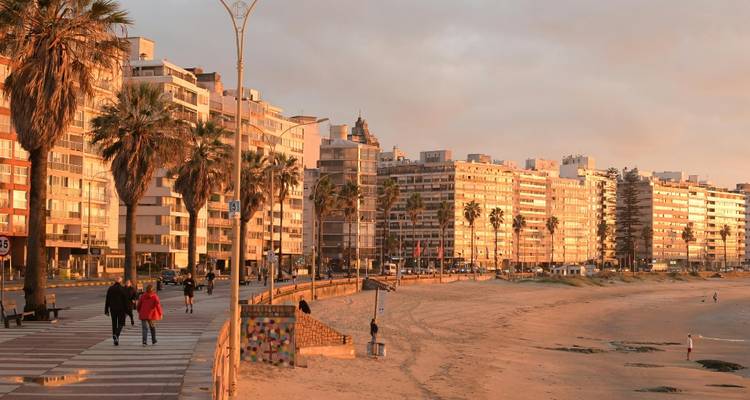 Mensen die wandelen langs een boulevard aan zee met palmbomen en hoogbouw.