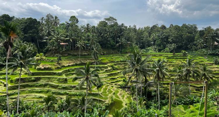 Bali’s Wild Heart: Soul, Surf & Spirit - G Adventures 5