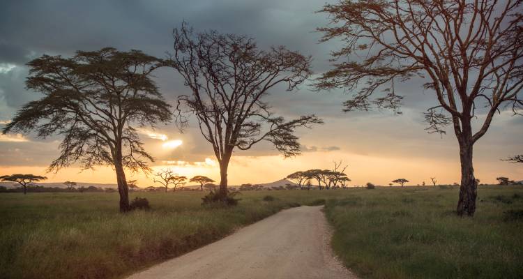 L'incroyable Tanzanie : du Serengeti à Zanzibar - G Adventures 5