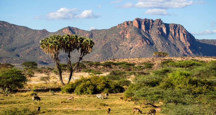 The Plains of Africa Kenya Wildlife Safari (Nairobi to Amboseli) (2026) - Collette 5