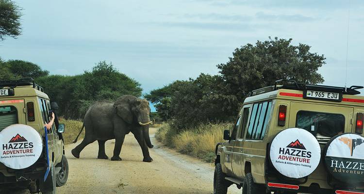 6-Day Fly-In Serengeti Wildebeest Migration -Safari - Hazzes Adventure 5