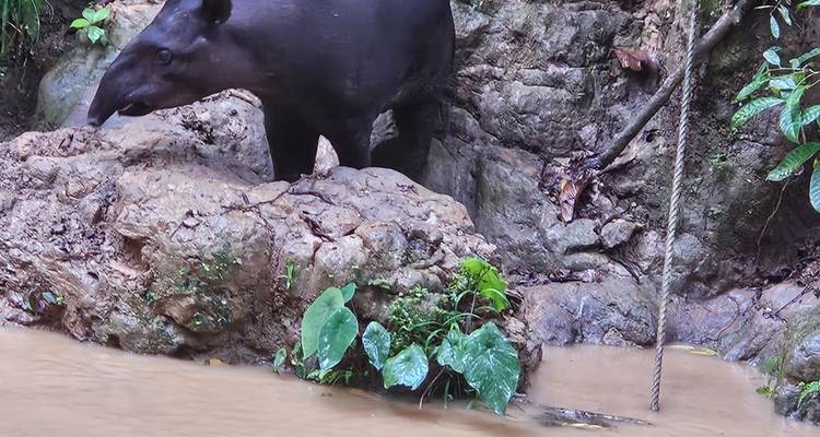 Son voyage en solitaire dans la forêt tropicale équatorienne et les Baños - Authentic Ecuador 4