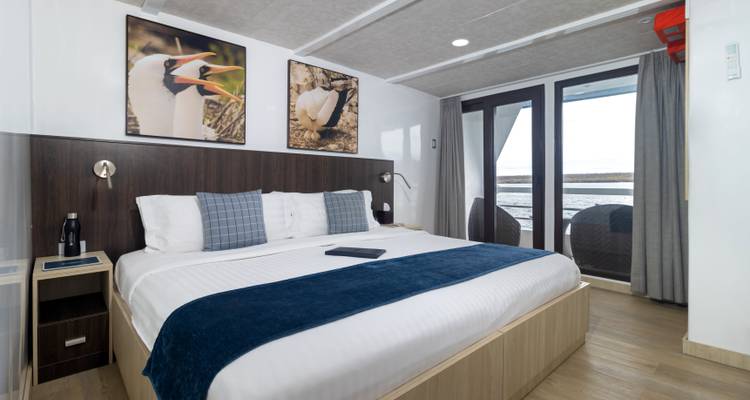 Cruise cabin with double bed, decor, and ocean view.