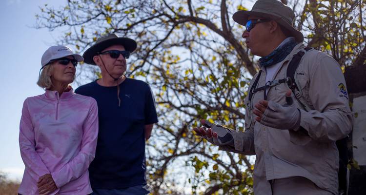 Tour guide explaining to visitors, surrounded by trees.