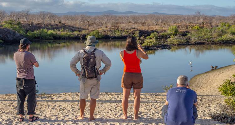 Group of tourists observing a lake with distant mountains.