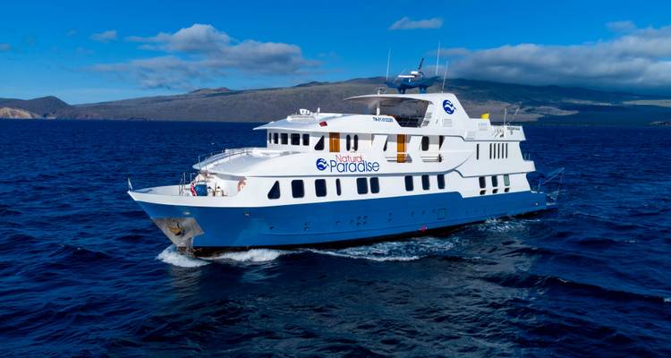 Natural Paradise Galapagos Yacht - Royal Galapagos 5