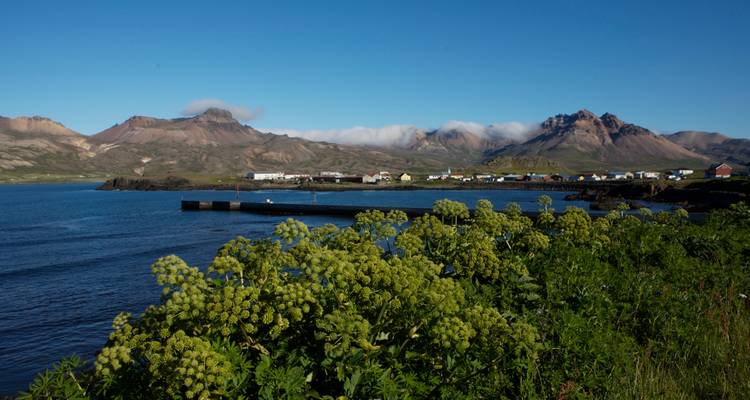 Local Living Iceland— Bakkagerði - G Adventures 1