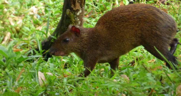 L'Équateur dévoilé : Sa découverte en solitaire de 7 jours - Authentic Ecuador 9