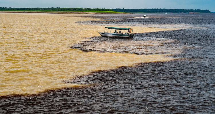 Manaus: Amazon Jungle Adventure – 5 Days - Receptivo Aborigen Tours 5
