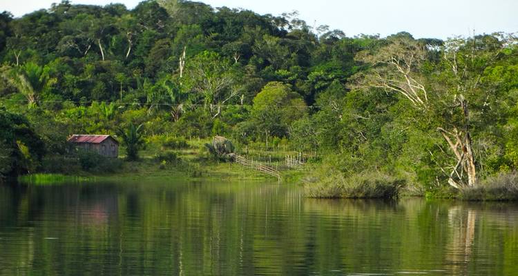 Manaus: Amazon Jungle Adventure – 5 Days - Receptivo Aborigen Tours 3