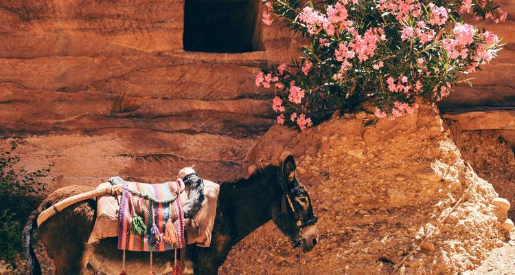 14-Day Cultural Tour: Turkey, Egypt & Jordan – Includes International Flights - Golden Egypt 2