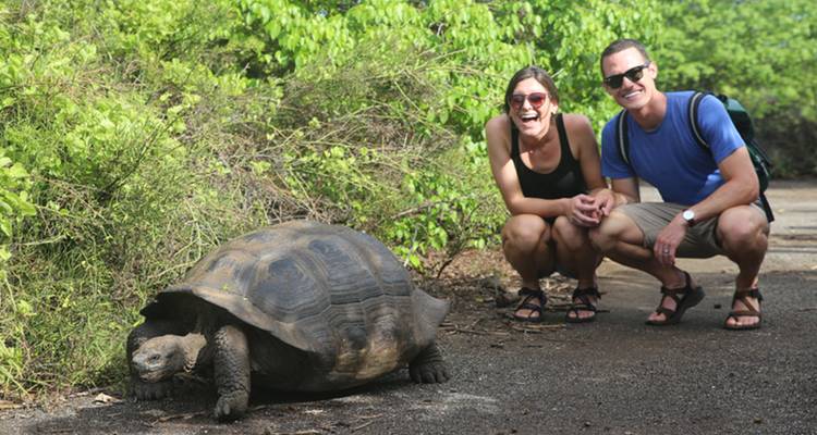 Tourists posing with a giant tortoise on a pathway.